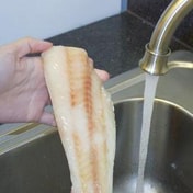 Raw frozen seafood under the water